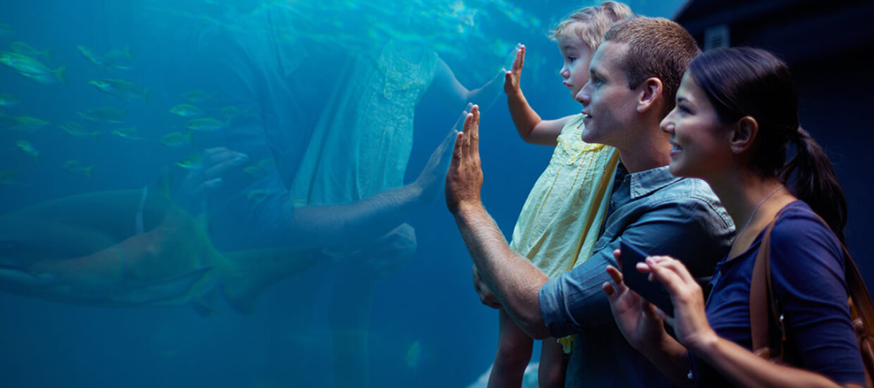 Monterey Bay Aquarium Package